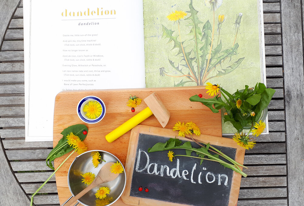 Dandelion Play Idea  for Kids